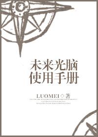 未来光脑系统