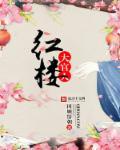 红楼大官人因顾惜朝txt顶点