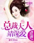 宠妻无度总裁大人是妻奴免费