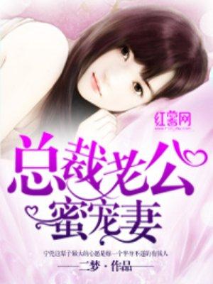 总裁老公蜜宠妻 二梦