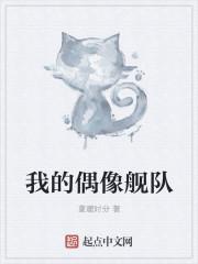 我的偶像舰队英语作文