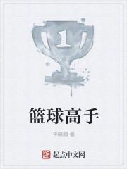 篮球高手排行榜第一名