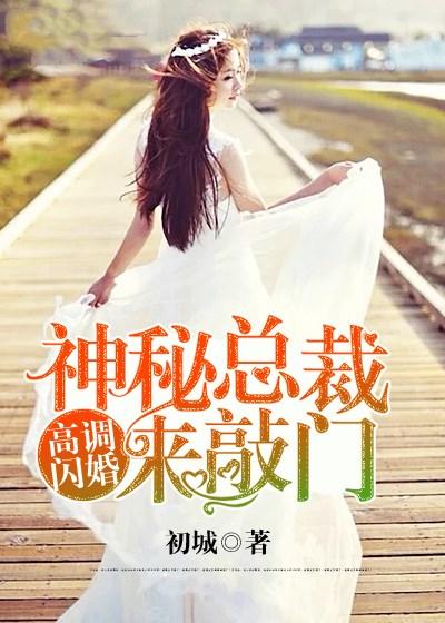 闪婚神秘总裁