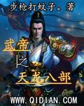 武帝之天龙八部好看吗贴吧