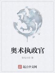 奥术执政官 散电光轮