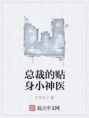 总裁的贴身女保镖