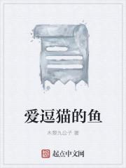 猫逗鱼视频
