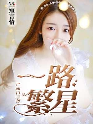 一路繁星越南剧在线观看