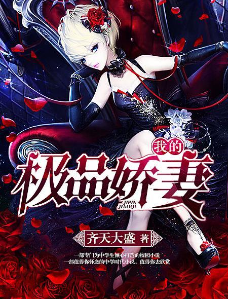 我的极品娇妻与职场女神免费阅读