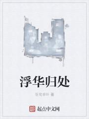 笑淡繁华是什么意思