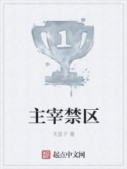 主宰境之上是什么