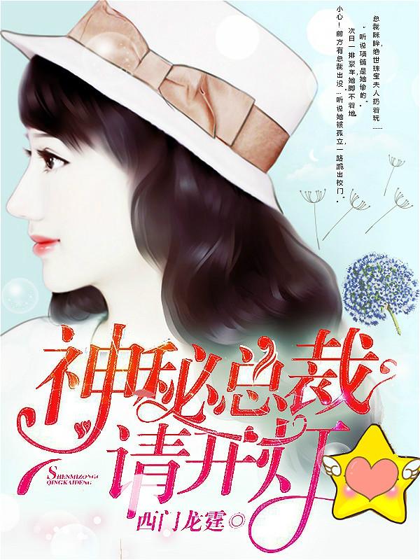 神秘总裁请开灯改写