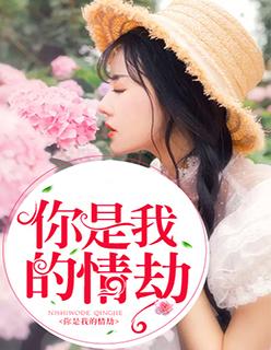 你是我的情劫免费播放
