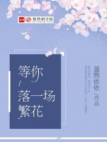 等你落一场繁花结局