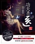 功夫圣医TXT免费全本