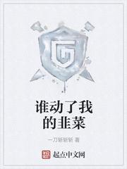 谁动了我的家产完整版央视网