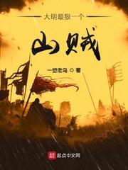 大明最狠一个山贼完结了吗