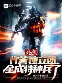 亮剑的独立团