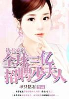 豪门钻石总裁聘金66亿