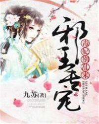 别乱来! 九苏TXT全文