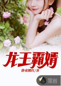 龙王霸婿宁沉颜和韩伊冉