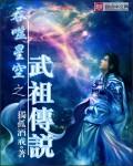吞噬星空之武祖传说书海阁