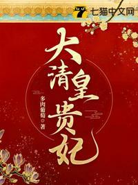 大清皇贵妃 笔趣阁