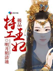 极品特工王妃之凤御天下冷倾城
