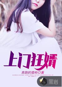 上门狂婿叶锋免费听书全集