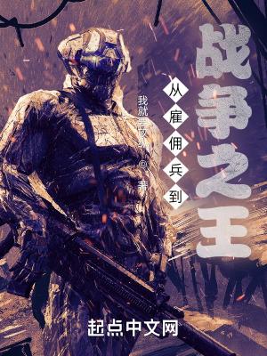 从雇佣兵到战争之王TⅹT
