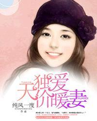 独爱天价暖妻讲了什么