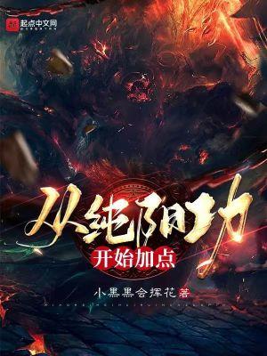 从纯阳功开始加点电子书
