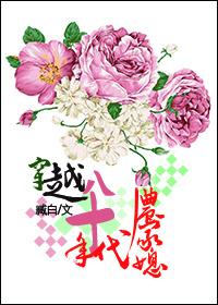 穿越八十年代农家媳全文免费阅读