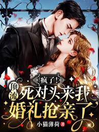 疯了!顶流死对头来我婚礼抢亲了最新章节列表