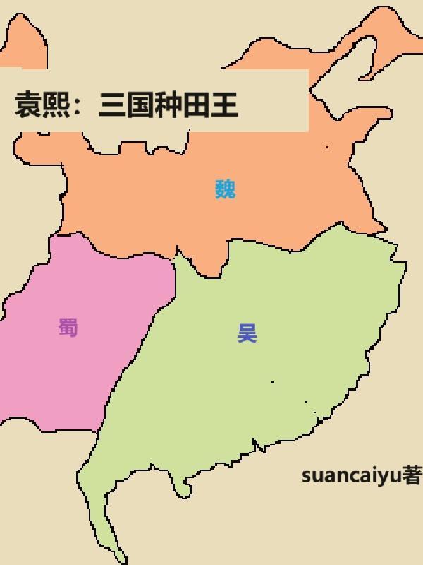 重生三国袁熙的