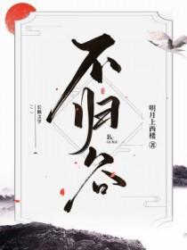 不归谷柳残阳著978