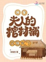 将军夫人又打官司