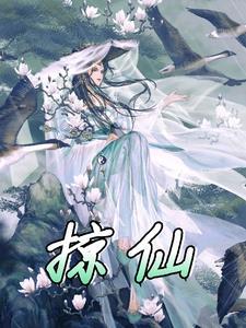 掠仙踪读后感