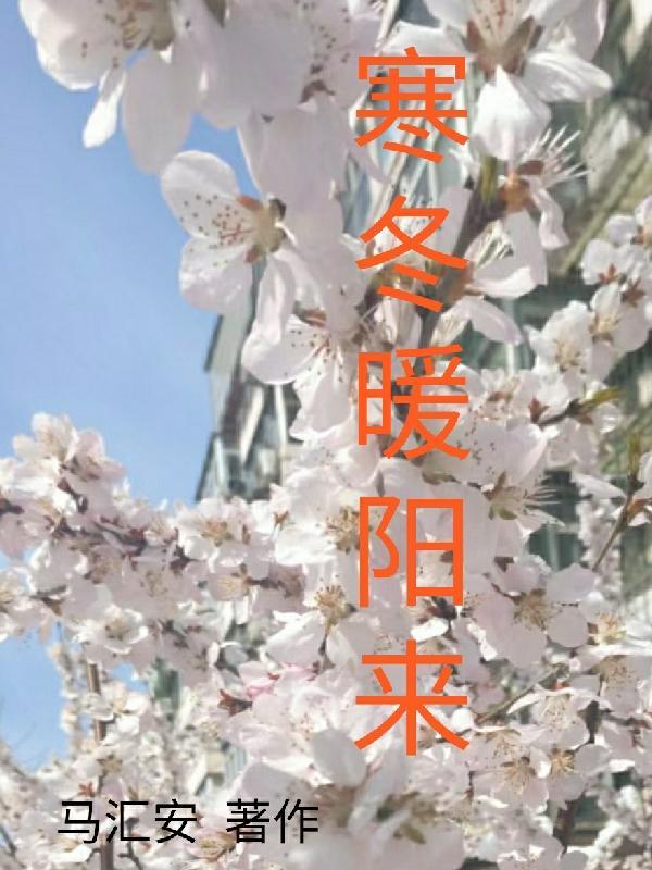 寒冬前的暖阳