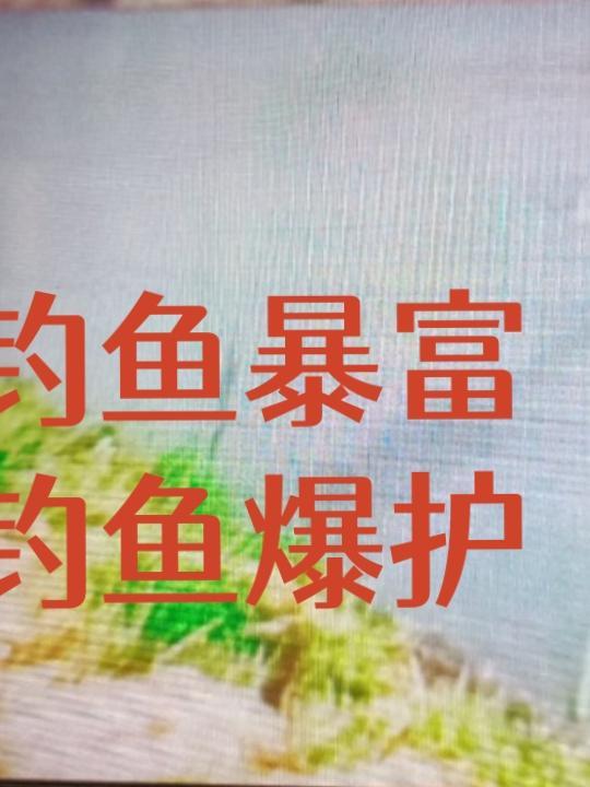 钓鱼爆护图片
