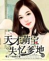 天才萌宝爹地宠妻