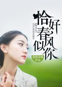 恰似春风如你免费阅读