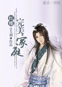 红楼完美家庭演员表