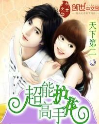 超能护花高手王子锐全文免费阅读最新章节列表