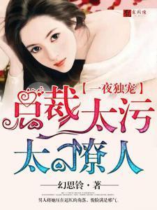总裁一夜宠妻