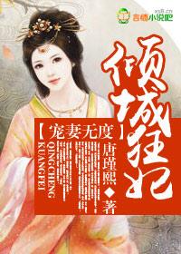 宠妻如命倾城妃
