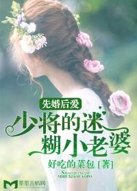 先婚后爱:少将的迷糊小老婆