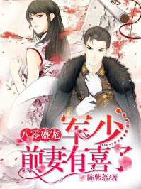 八零盛宠:军少,前妻有喜了