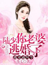 逃妻通缉令:陆少,你老婆逃婚了